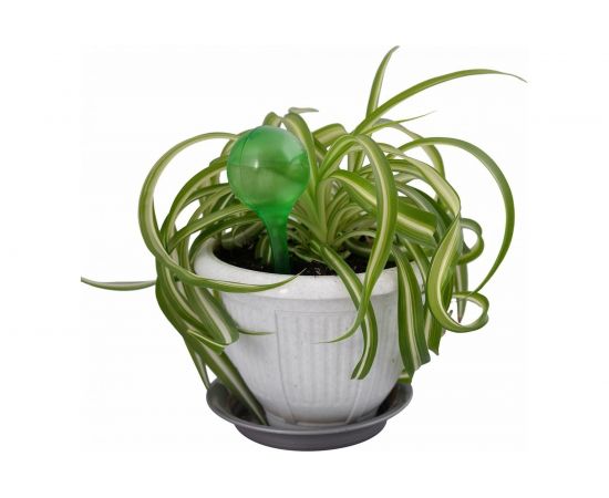 Шар для полива комнатных растений МУЛЬТИДОМ Головастик VL83-147 – изображение 4