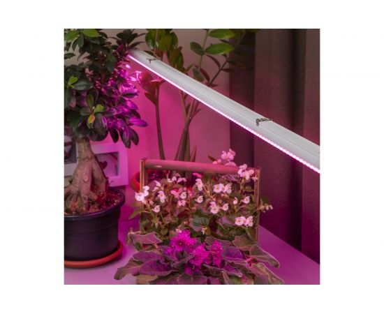 Линейный светильник ЭРА красносинего спектра FITO-14W-Т5-N Б0045232 – изображение 4
