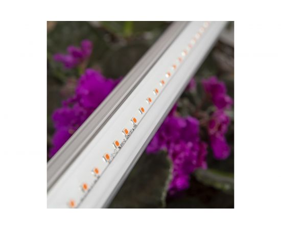 Линейный светильник ЭРА красносинего спектра FITO-14W-Т5-N Б0045232 – изображение 10