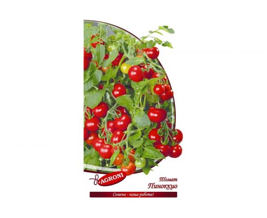 Семена Агрони Томат ПИНОККИО 7071 