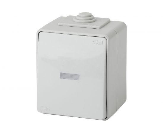 Выключатель с подсветкой ЭРА Эксперт 11160203 IP65, 10АХ250В, ОУ, Б0035974 