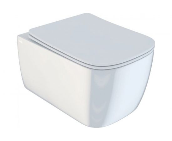 Подвесной безободковый унитаз IDDIS Bridge BRIRDSEi25 