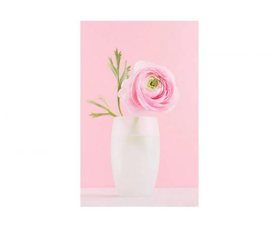 Аэрозольная акриловая краска в баллончике для декора SIANA Provence эффект инея для мебели, металла, пластика, керамики, стекла, гипса, сухоцветов, цветов, радиаторов, быстросохнущая SNEI001 – изображение 3