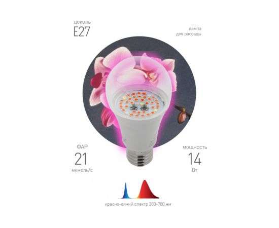 Лампа ЭРА FITO 14W RB E27 Б0050602 – изображение 4