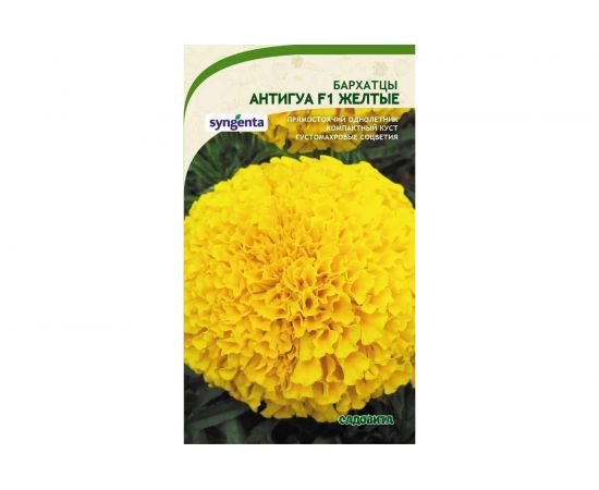 Семена САДОВИТА Бархатцы Антигуа F1 Желтые 5 семечек 00161768 