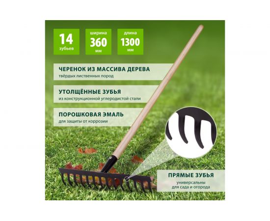 Прямые грабли СИБРТЕХ 14 зубьев, 360 мм, с черенком 61742 – изображение 2