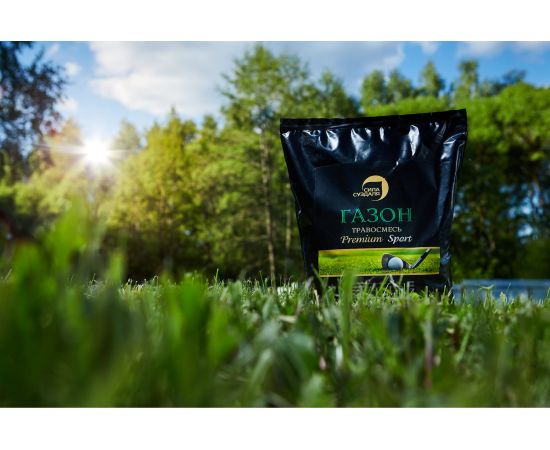 Газонная травосмесь Сила Суздаля Премиум Спорт 1 кг GTPS001 – изображение 2
