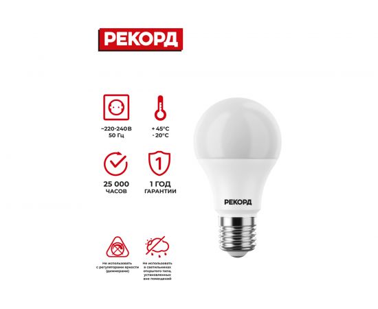 Светодиодная лампа РЕКОРД LED А60 7W Е27 6500К 23945 – изображение 2