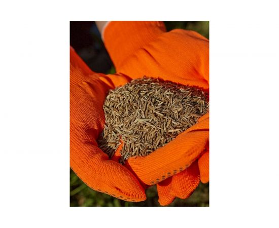 Газонная травосмесь Сила Суздаля Премиум Спорт 1 кг GTPS001 – изображение 3