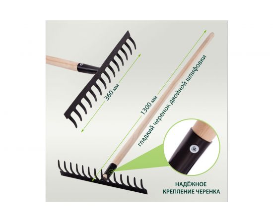 Прямые грабли СИБРТЕХ 14 зубьев, 360 мм, с черенком 61742 – изображение 3