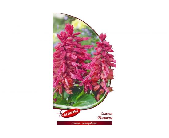 Семена Агрони Сальвия РОЗОВАЯ 3226 