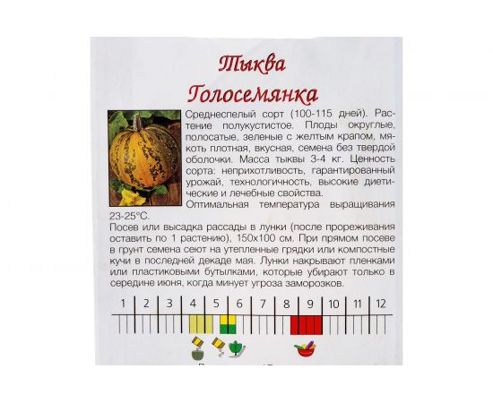Семена Агрони Тыква ГОЛОСЕМЯННАЯ 4841 – изображение 3