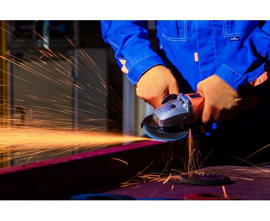 Круг лепестковый торцевой STANDARD 2 (125x22.2 мм; Р60) TOTFLEX 4631148128132 – изображение 4