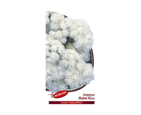 Семена Агрони Агератум ВАЙТ БОЛ 4889 