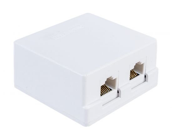 Компьютерная розетка TDM 2xRJ-45 SQ1809-0004 – изображение 2