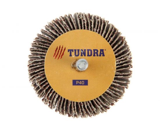 Круг лепестковый радиальный (60х20х6 мм; Р40) TUNDRA 1875462 – изображение 2