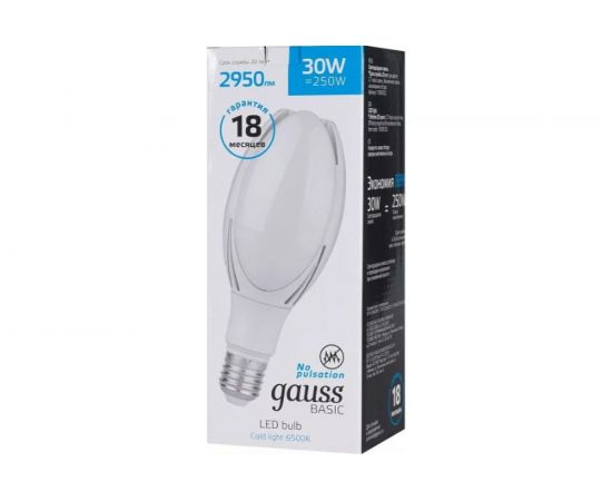 Лампа Gauss Basic BT100, AC180-240V, 30W, 2950lm, 6500K, E40, LED 1/20 11834332 – изображение 2