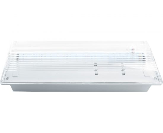 Аварийный светильник FERON 20 LED AC/DC, белый, EM100 41535 
