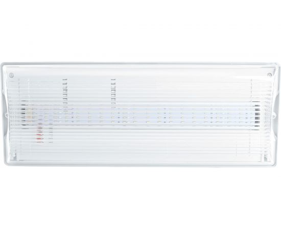 Аварийный светильник FERON 20 LED AC/DC, белый, EM100 41535 – изображение 2