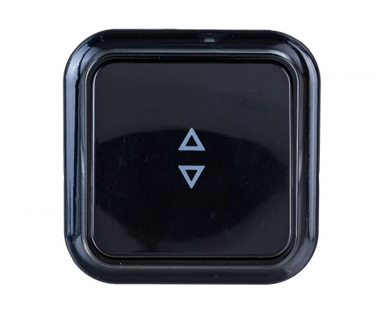 Выключатель Bylectrica 1-клавишный открытая установка, 6А проходной, серия ПРАЛЕСКА, А610-147 черный 