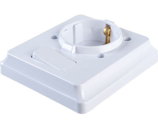 Розетка с заземлением 16A, 250В и выключателем 10А, 250В NE-AD IP20 Белый 1001-A – изображение 3