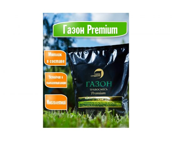Газонная травосмесь Сила Суздаля Премиум 1 кг GTPU001 – изображение 2