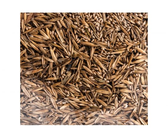 Семена САДОВИТА Доступный газон Универсал 1 кг 00113944 – изображение 2