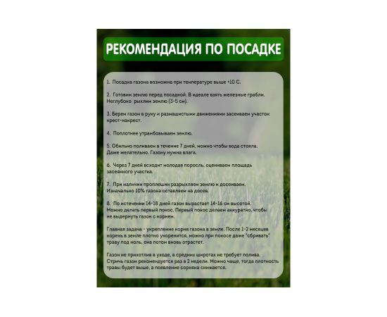 Газонная травосмесь Сила Суздаля Премиум 1 кг GTPU001 – изображение 3