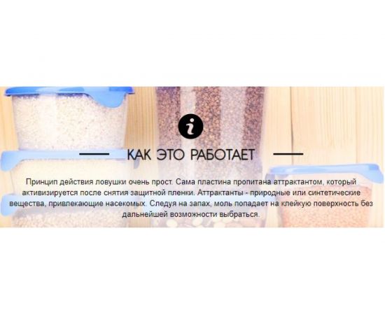 Ловушка от пищевой моли РАПТОР 2шт, без запаха 19696 – изображение 4