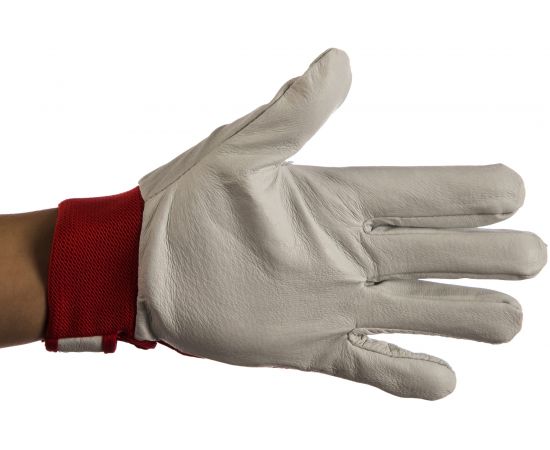 Перчатки PROTECT Р 8 0899400132061 12 – изображение 2