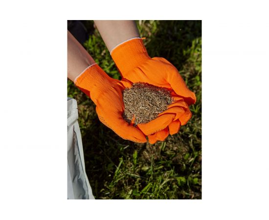 Газонная травосмесь Сила Суздаля Спортивная 5 кг GTS0050 – изображение 3