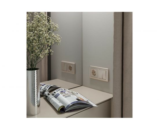 Розетка WERKEL, W1171010, с заземлением, шампань, рифленый a051434 – изображение 3