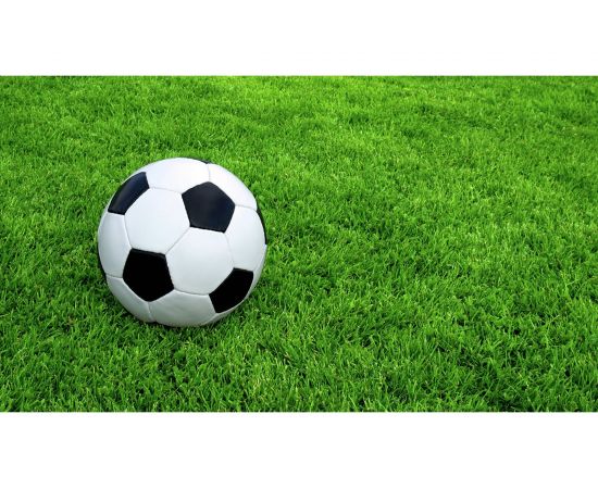 Газонная травосмесь Сила Суздаля Спортивная 5 кг GTS0050 – изображение 5