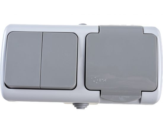 Блок розетка1-м 16А с крышкой и 2-кл выключатель EKF Мурманск IP54 серый SQEFRV16-052-30-540 