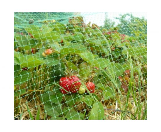 Сетка от птиц ПРОТЭКТ 2х5 м, хаки У-6/2/5 х – изображение 3