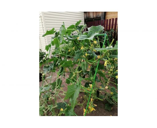 Шпалера для огурцов НАЙДИ GOG6018 – изображение 4