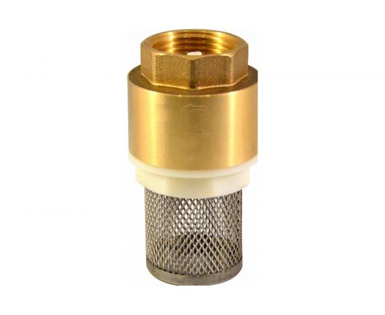 Обратный клапан СТМ с сеткой 1" CBCVF001 