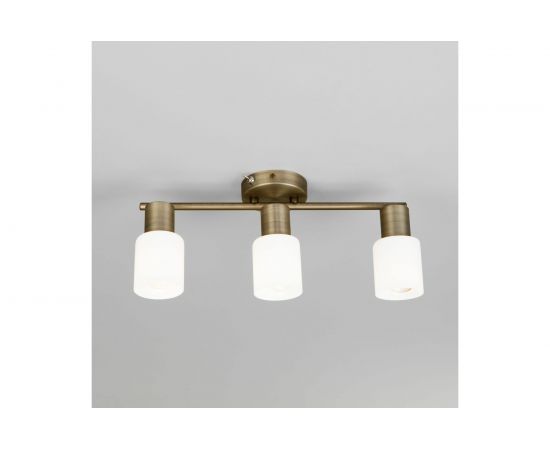 Настенный светильник Eurosvet 20089/3 бронза a049415 – изображение 6