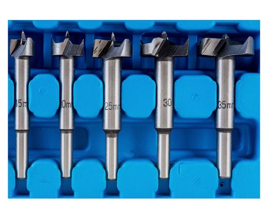 Набор фрез Форстнера по дереву 5 предметов с победитом Gigant G100-001 – изображение 3