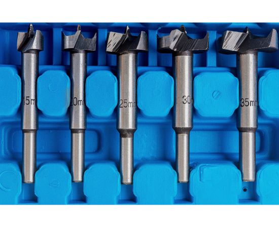 Набор фрез Форстнера по дереву 5 предметов с победитом Gigant G100-001 – изображение 4