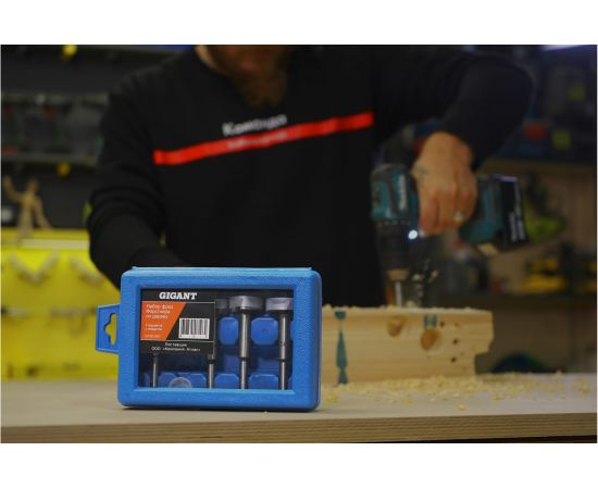 Набор фрез Форстнера по дереву 5 предметов с победитом Gigant G100-001 – изображение 5