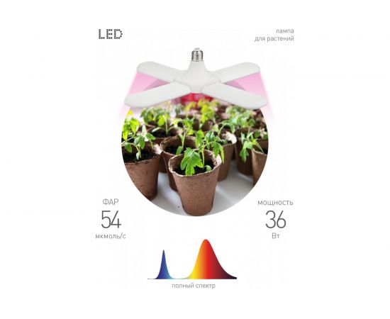 Светодиодная фитолампа для растений ЭРА FITO-36W-RB-E27-FOLD красно-синего спектра 36 Вт Е27, Б0053289 – изображение 6