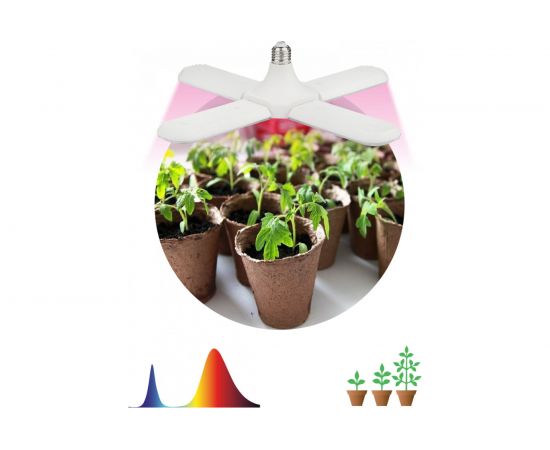 Светодиодная фитолампа для растений ЭРА FITO-36W-RB-E27-FOLD красно-синего спектра 36 Вт Е27, Б0053289 – изображение 7