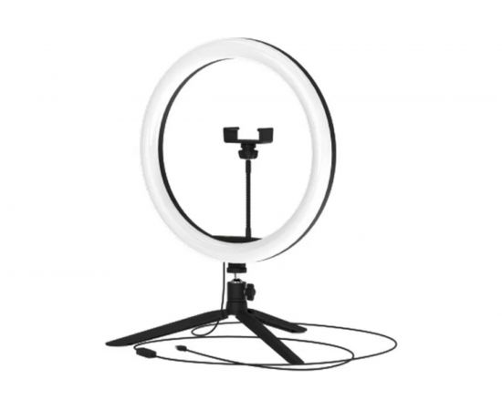 Кольцевой светодиодный светильник Gauss диам. 30см RL003 