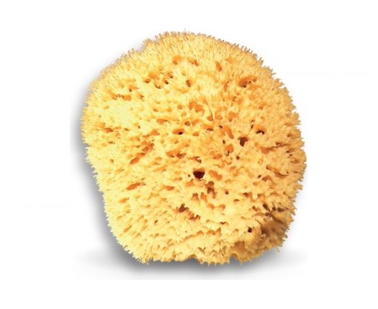 Натуральная морская губка из Средиземного моря Boldrini 55224 