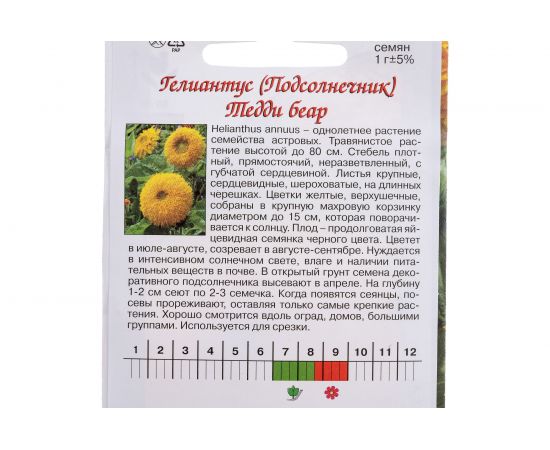 Семена Агрони Подсолнечник гелиантус ТЕДДИ БЕАР 5565 – изображение 2