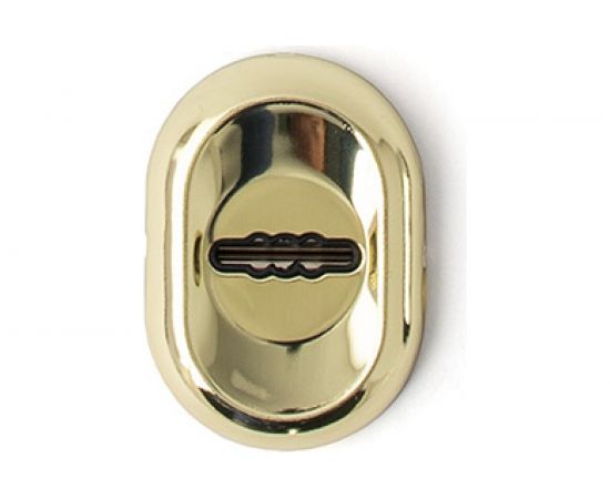 Декоративная накладка Avers DP-13-S-Auto-G 27898 – изображение 2