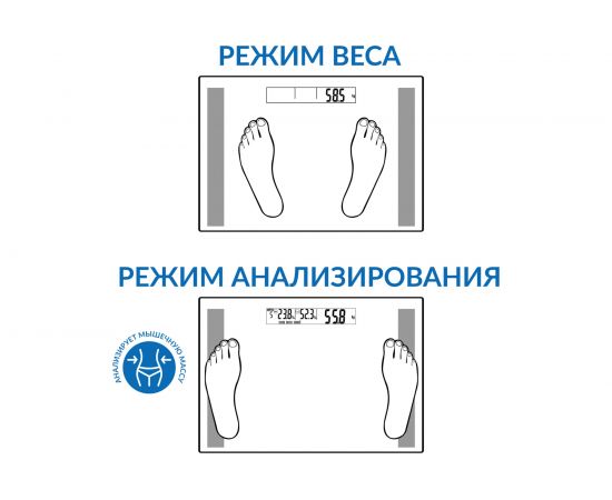 Электронные весы Tatkraft FITNESS с анализатором жировой и мышечной массы 20351 – изображение 8