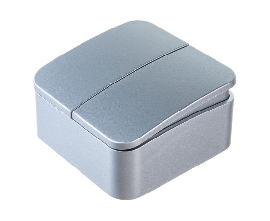 2-клавишный выключатель Schneider Electric открытой проводки Blanca 10А IP20 5 250В алюминий BLNVA105013 