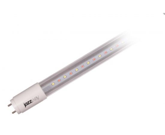 Специальная лампа Jazzway PLED T8-1200 Food Meat 18w G13 Cl/PL 230V/50Hz 5006508 